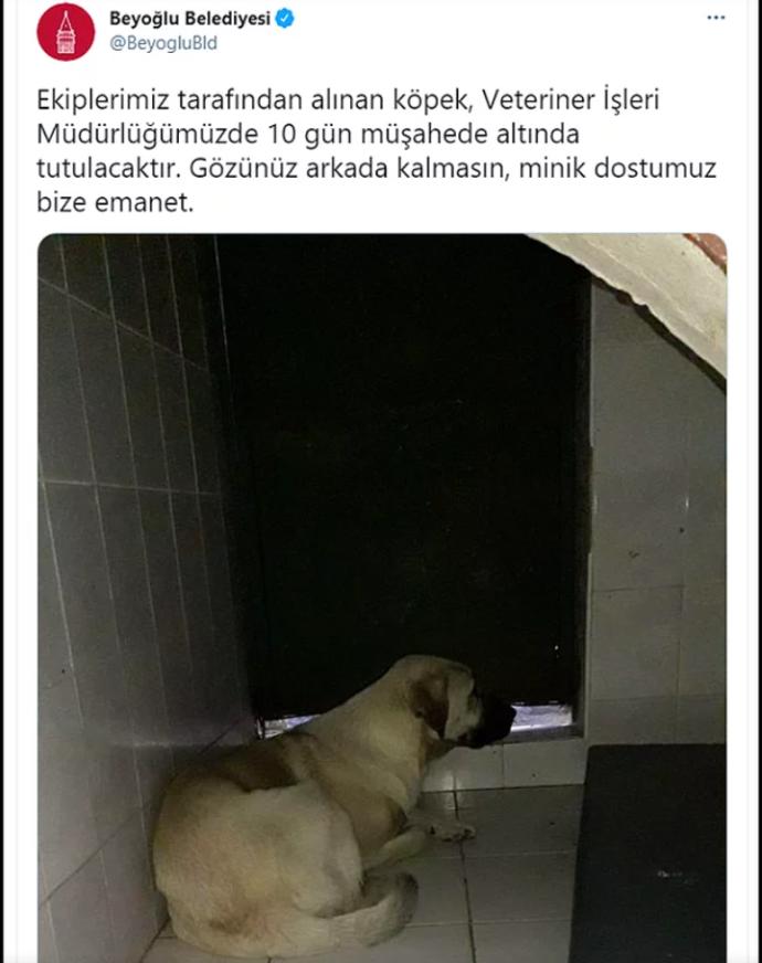 Olayın ardından belediyenin attığı tweet bu.