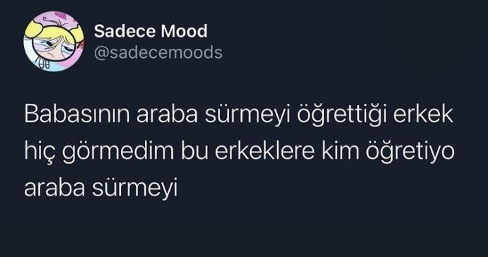 Kızlar sürücü kurslarına giderken erkekler hep araba kullanmayı biliyor oluyor. Bu erkeklere araba kullanmayı kim öğretiyor?