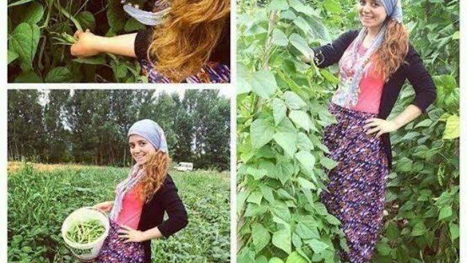 Hiç tarlada çalıştınız mı?