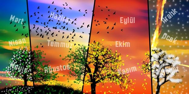 Takvimden bir ayı atacak olsanız bu hangi ay olurdu?