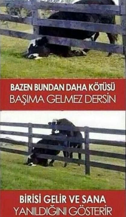 Sizi güldürmek kolay mıdır?