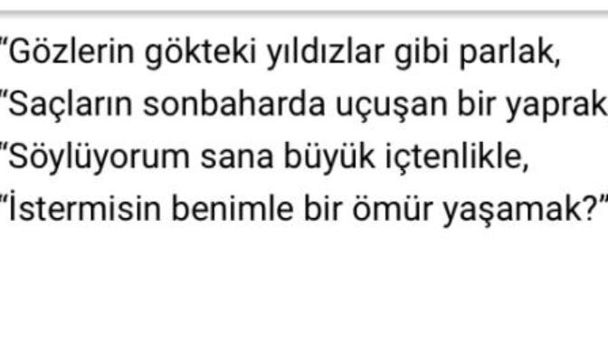 İlk defa şiir yazdım devam edeyim mi?