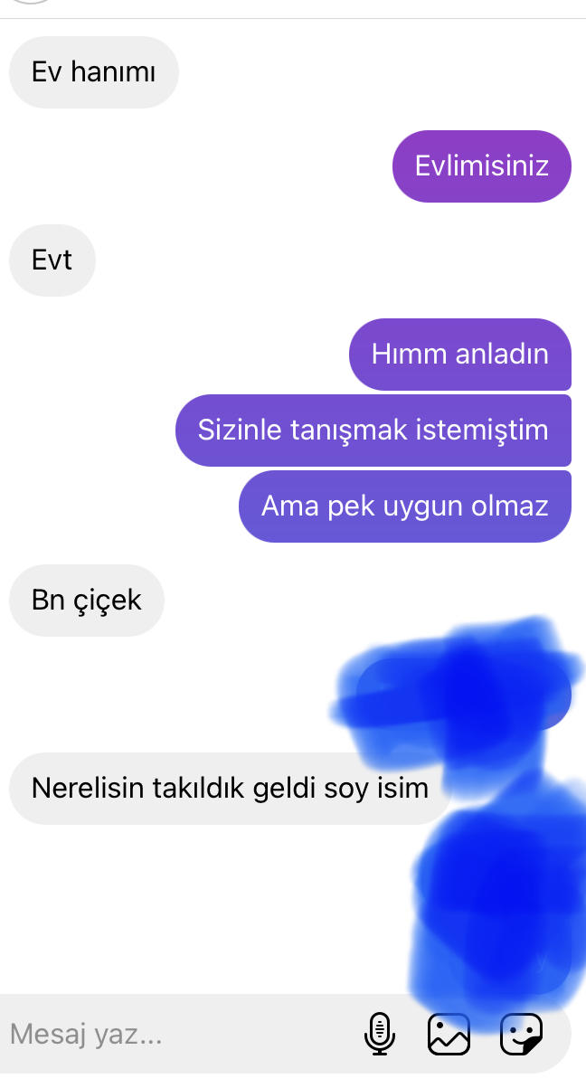 uzun tüylü kedi beendin mi