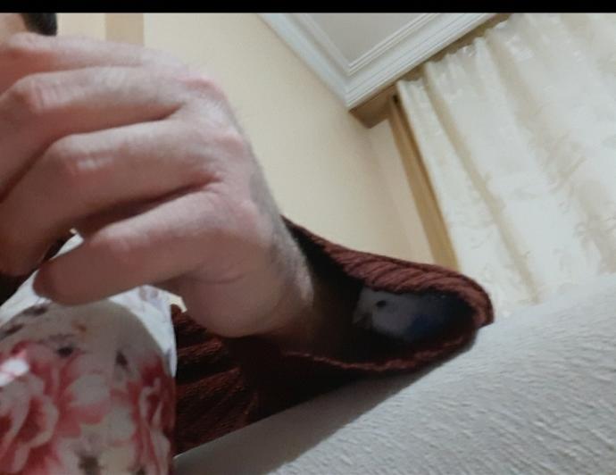 Bugüne özel evcil hayvanınızın fotoğrafını bırakır mısınız?