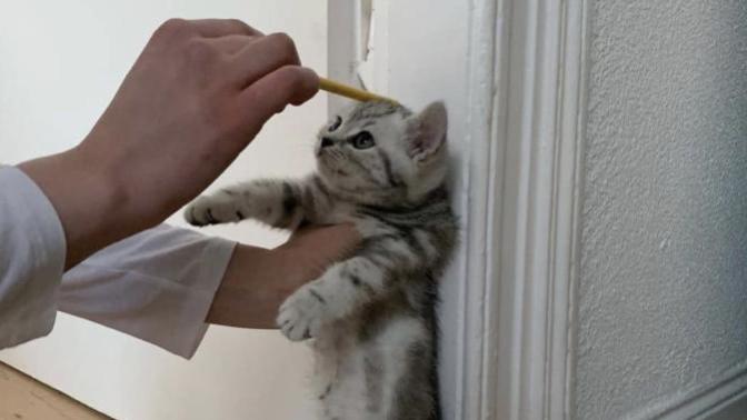 Boyunuza laf edenler oluyor mu?