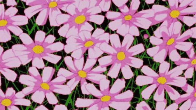 Kızlar neden sürekli "🌸" bu emojiyi kullanır?