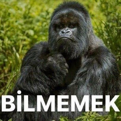 Bir erkeğin zeka seviyesini nasıl anlayabiliriz?