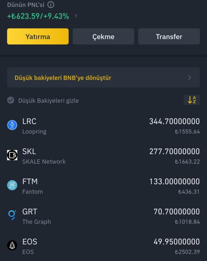 Sevabına biri bana kripto para yatırımı nasıl yapılır anlatsın?