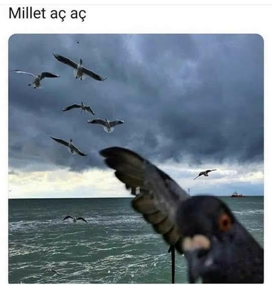 Ülke yanıp tutuşurken nasıl hala aşk dertleriyle uğraşabiliyorsunuz?