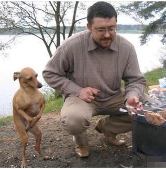 Bir piknikte ne olmazsa piknik olmaz?
