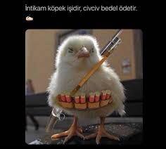 Senin intikam alma yöntemin ne?