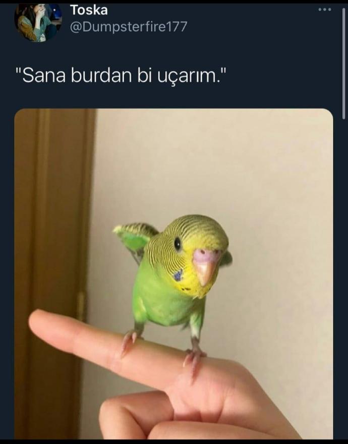 Sinirlendiğinizde sakinliğinizi koruyabiliyor musunuz?