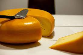 Gouda peyniri diye anılan meşhur peynir hangi ülkenin peyniridir?