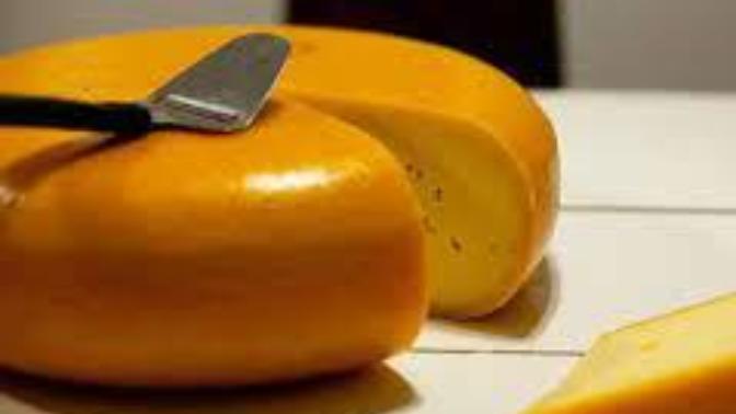 Gouda peyniri diye anılan meşhur peynir hangi ülkenin peyniridir?