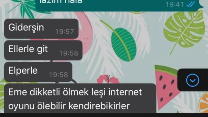 Oyuncu olmaya karar verdim arkadaşlar. Sizin de böyle harika yardım sever bir halanız var mı?