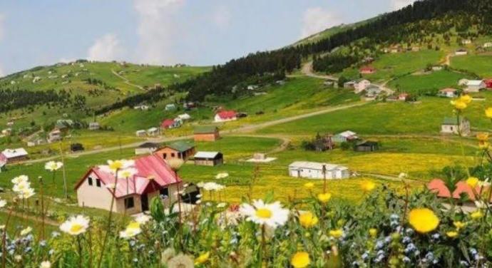 Doğa mı yoksa şehir hayatı mı?