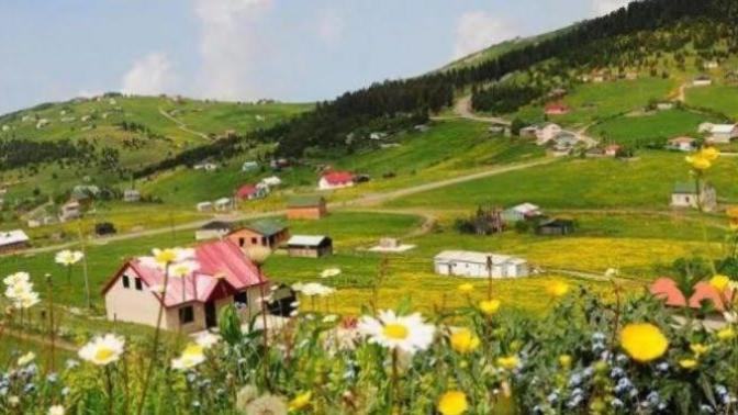 Doğa mı yoksa şehir hayatı mı?