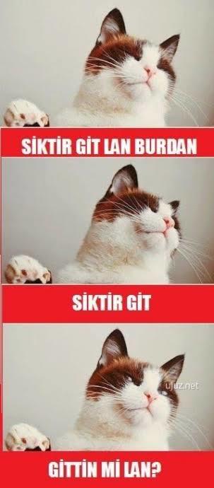 KS de aşıkları kıskanan bir ben miyim 🥺🥺?