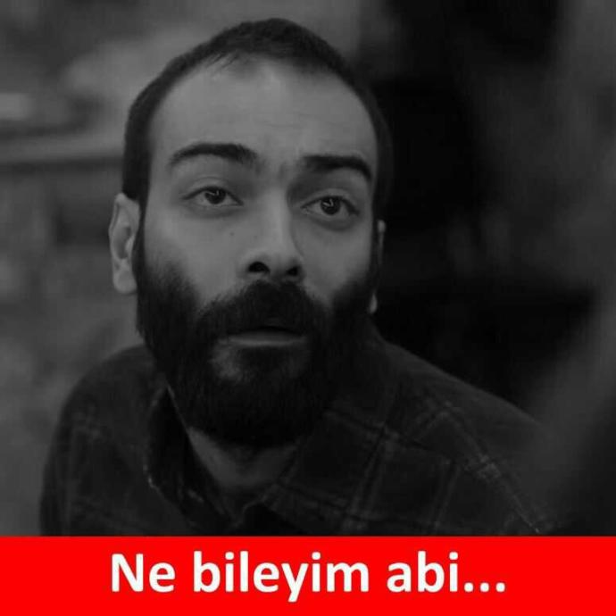 Zeki Müren - Gül ağacı değilem , 0:50'de ki '' Nice bile arzeyleyem, Kızıl gülem men '' ne demek?
