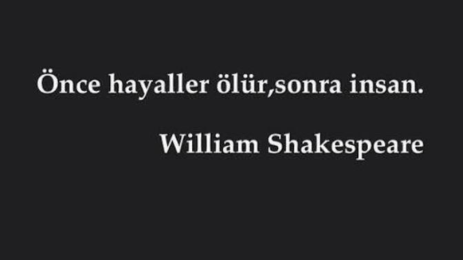Doğrularınızın ederi nedir?