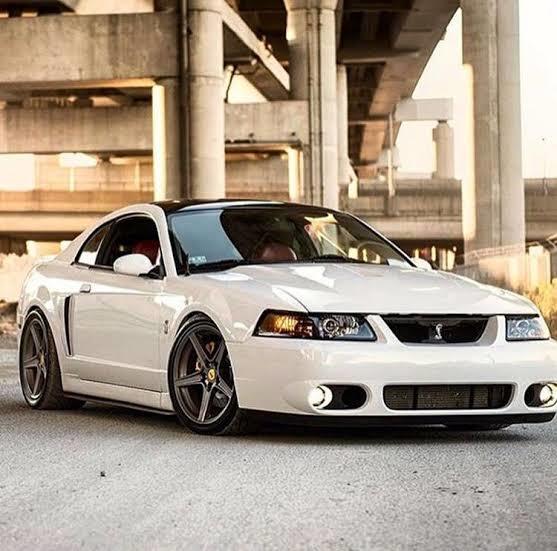 👑❤SVT COBRA❤👑