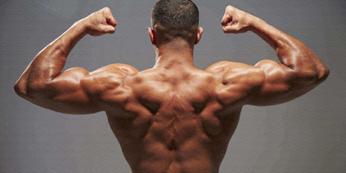 Bodybuilding'de Kanat Kası Hareketleri Nelerdir?