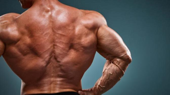 Bodybuilding'de Kanat Kası Hareketleri Nelerdir?