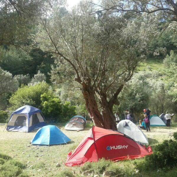 Ege bölgesinin en i̇yi çadır / karavan kamp alanları hangileri?