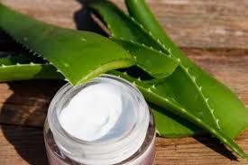 Aloe Vera Maskesi ile Cilt Bakımı Nasıl Yapılır?