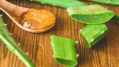 hydrating aloe vera gel Buy Aloe Vera Hydrating Gel – Whole Leaf Aloe main image 1