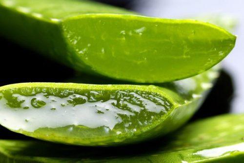 Aloe Vera Maskesi ile Cilt Bakımı Nasıl Yapılır?