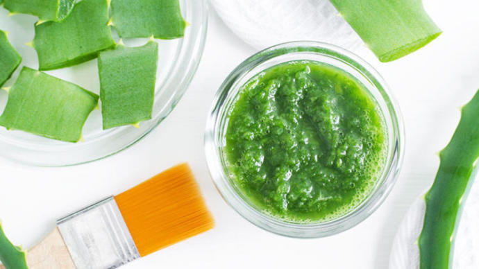 Aloe Vera Maskesi ile Cilt Bakımı Nasıl Yapılır?
