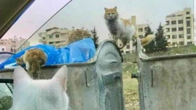 An itbariyle kendinizi nasıl hissediyorsunuz?