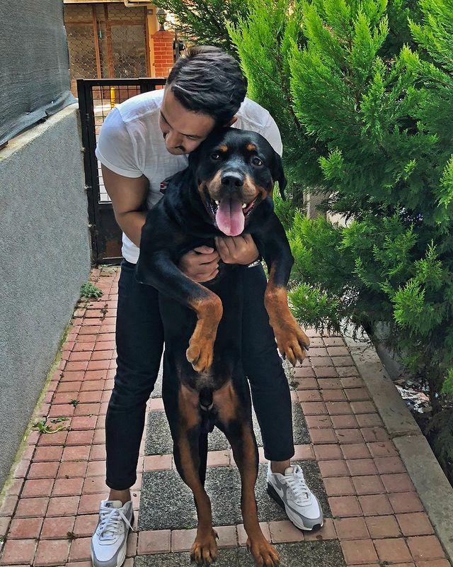 Beraber yaşadığınız bir hayvan var mı, varsa kaç yaşında ve sizin için ne ifade ediyor?