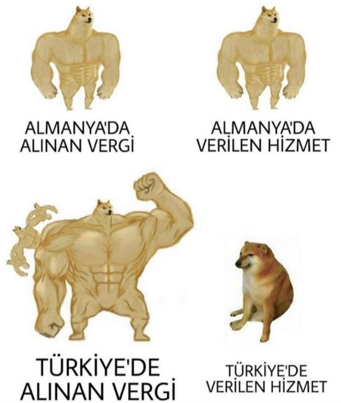 Devletin hizmetlerinden memnun musunuz?