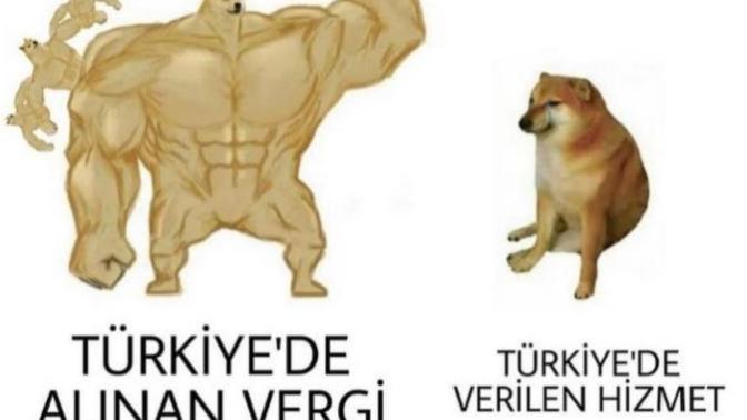 Devletin hizmetlerinden memnun musunuz?