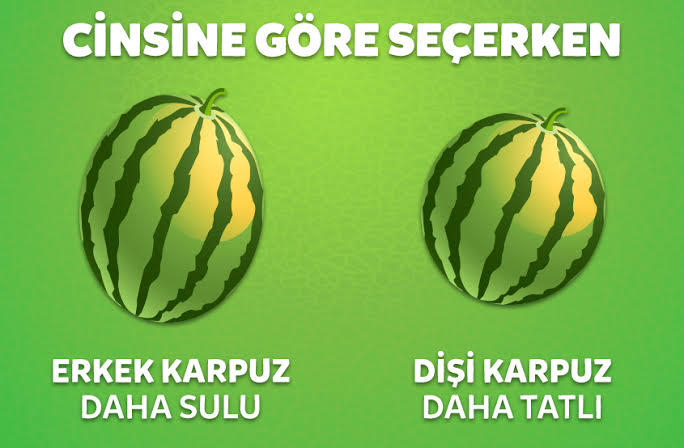 Karpuz sezonu yolda. Sevgilim gibi kelek çıkmaması için karpuzu nasıl seçmeliyim?