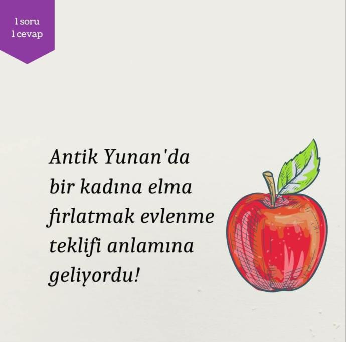 Elma da elma he 🍎 🤤