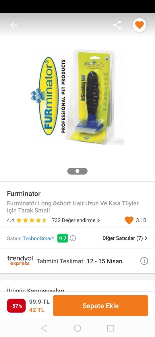 Kedimin bıyığı kesildi, sersemleşir mi?