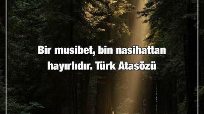 En çok kullandığınız atasözleri nelerdir?