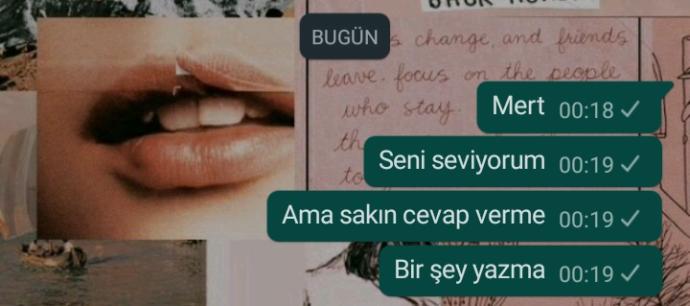 Sevdiğime açıldım sonum ne olur?
