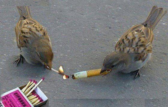 Benim gibi bi kız evlenmez mi ihtimal yok mu (aşırı uzun sorudur)?