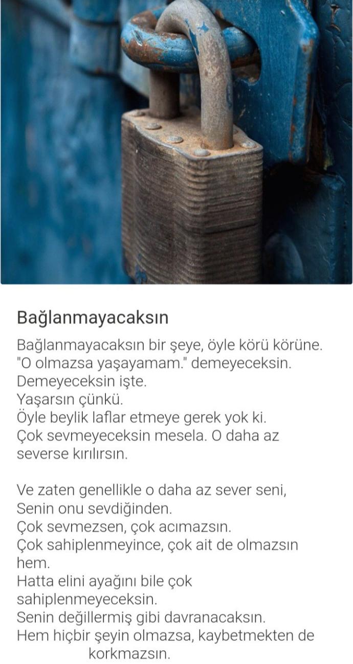 Yavru kedim öldü, nasıl iyi olacağım?