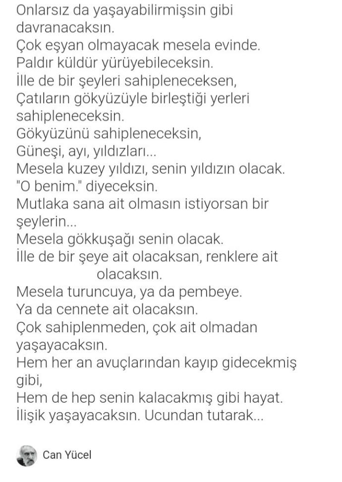 Yavru kedim öldü, nasıl iyi olacağım?