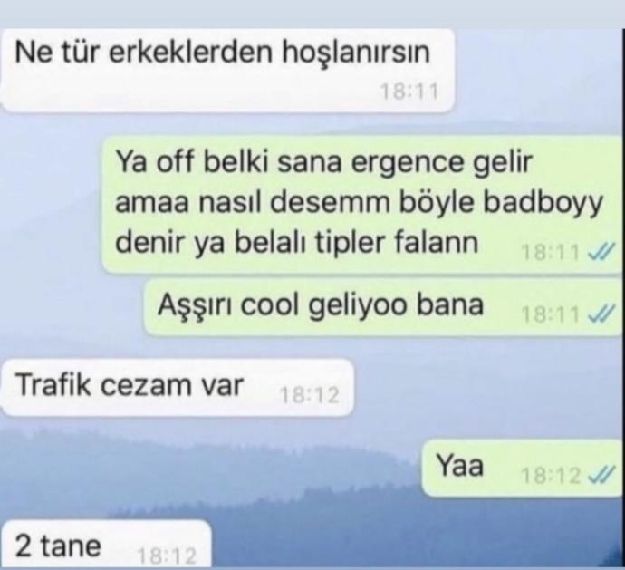 Ne tarz erkek ya da kadından hoşlanırsın?