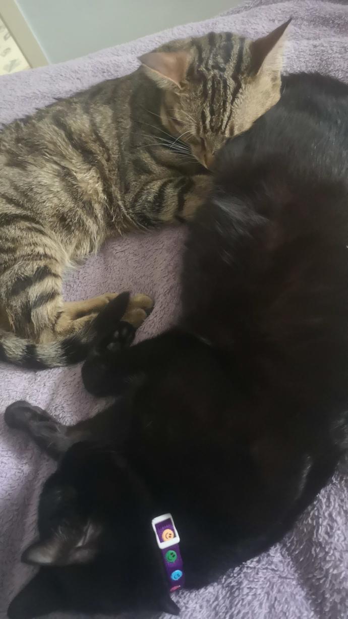 Daha 7  Nisan  da 1 yıl oldu doğalı 🥺💗