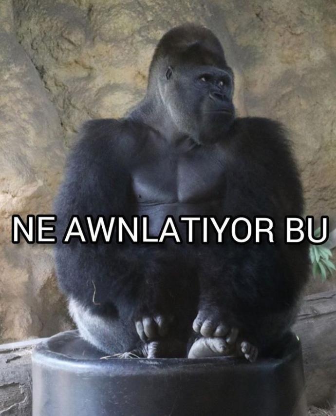 Çok mu utangaçsın sen?