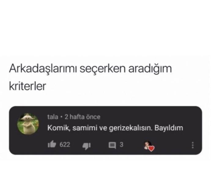 Arkadaşlarını hangi kriterlere göre seçersin?