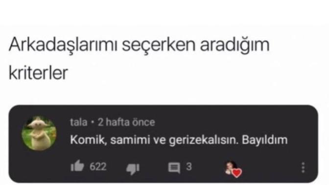 Arkadaşlarını hangi kriterlere göre seçersin?