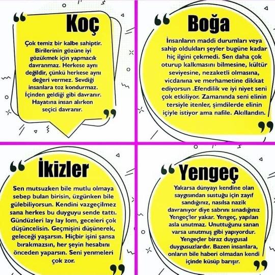 Acaba senin ozetlenisin nasıl?